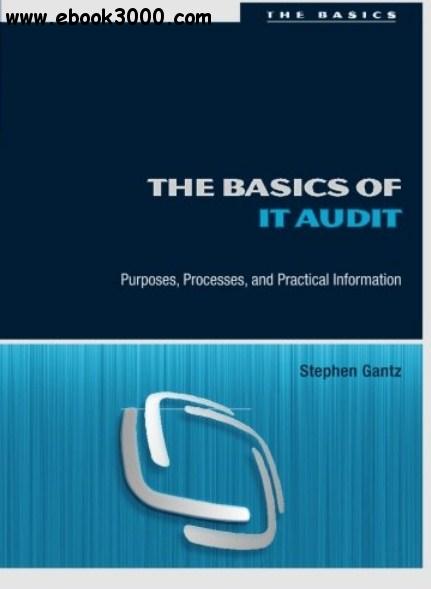 The Basics of IT Audit